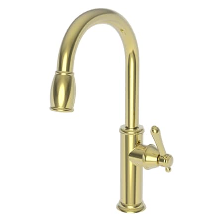 Newport Brass Pull-Down Kitchen Faucet in Forever Brass, Pvd 1030-5103-01